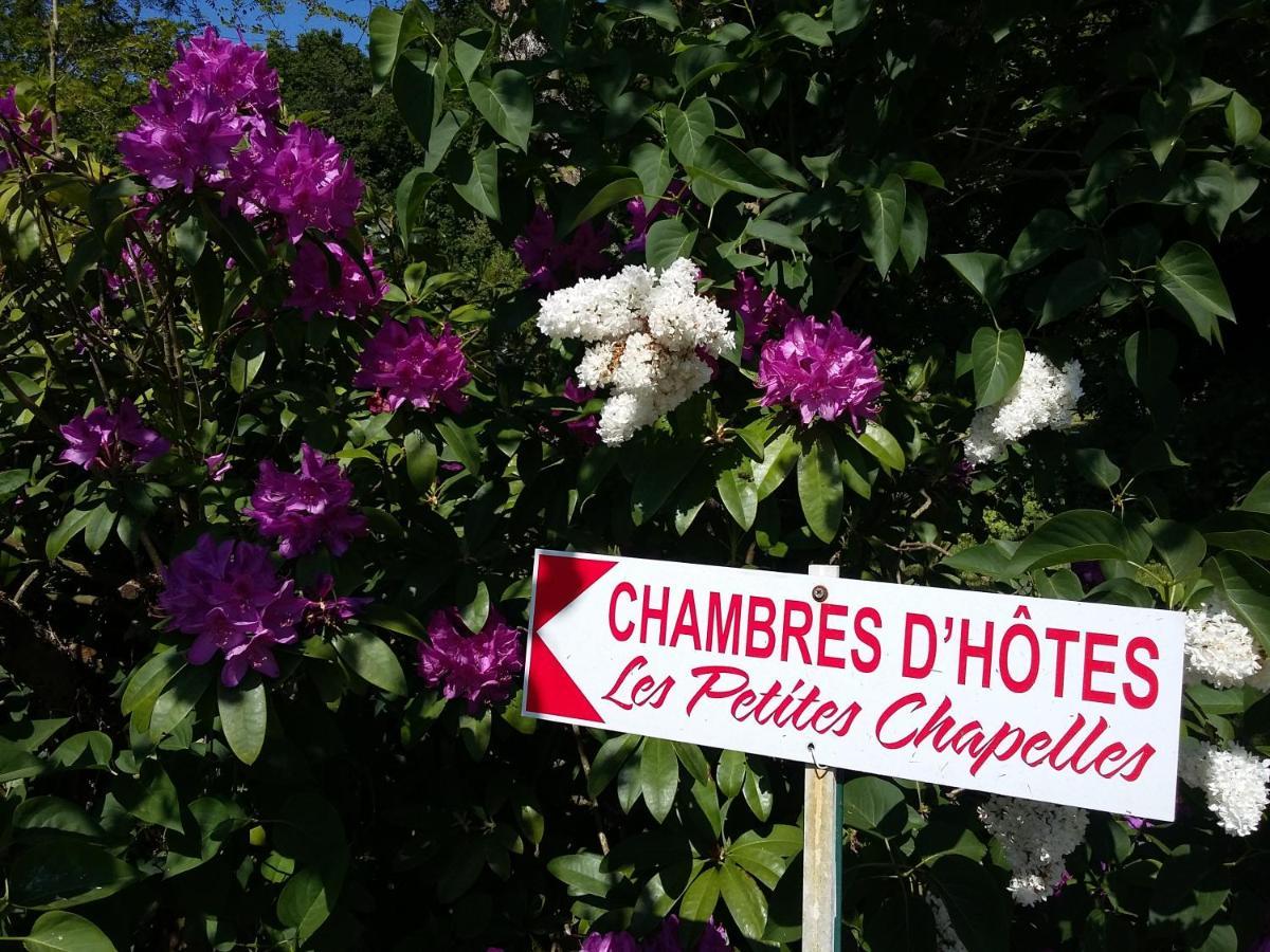 Les Petites Chapelles Bed & Breakfast Saint-Pierre-de-Plesguen Exterior photo